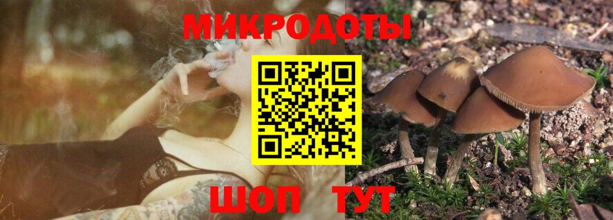 Галлюциногенные грибы ЛСД Дедовск