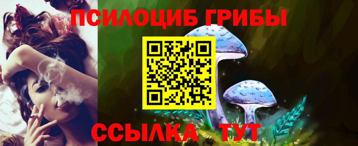 Дедовск  Галлюциногенные грибы GOLDEN TEACHER  Вход с VPN 